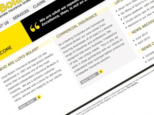 Lloyd Bolam website screen shot