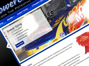 Powerchips website screen shot