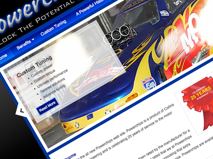 Powerchips website screen shot Powerchips website screen shot