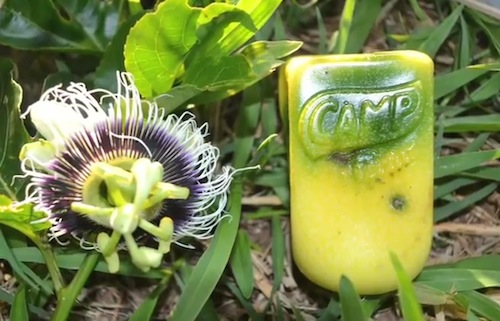 fruit1